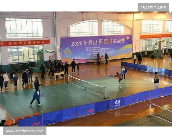 活力长三角共筑健康梦匹克球赛展现全民拼搏新风貌